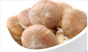 壮阳果真的能壮阳吗 壮阳果的功效以及作用