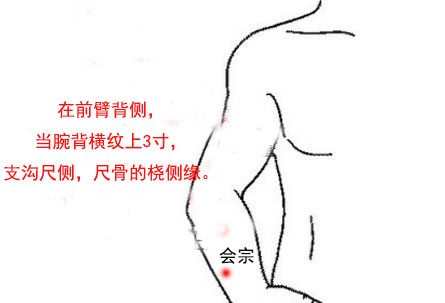 找会宗穴的最笨方法，会宗的准确位置图和作用