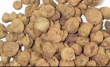 元胡的功效与作用，元胡的副作用