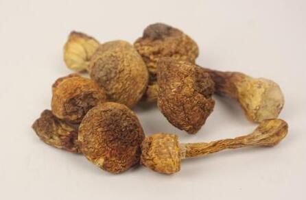 姬松茸和什么煲汤最佳,姬松茸的做法煲汤