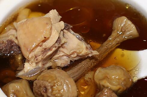 姬松茸和什么煲汤最佳,姬松茸的做法煲汤