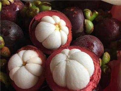 山竹一天最多吃几个？山竹的功效与作用及禁忌