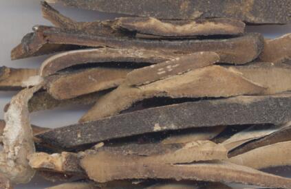 化橘红上火还是降火，长期吃化州橘红的危害