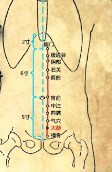 大赫穴的作用与功效，大赫的准确位置图