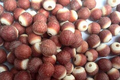 鸡头米的功效与作用及食用方法