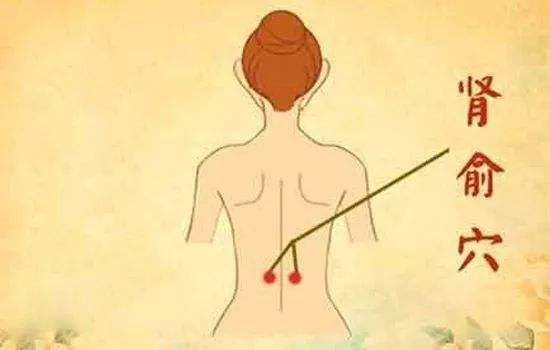 肾俞穴的作用，肾俞的准确位置图片