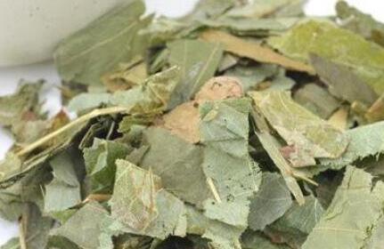 仙灵脾的功效与作用及禁忌