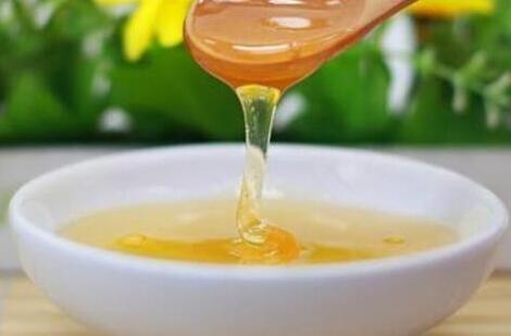 槐花蜜的功效与作用及食用方法