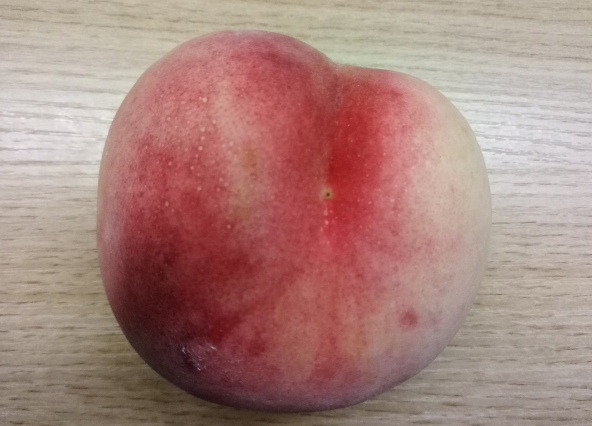 桃子不能和什么一起吃，多吃桃子的好处和坏处