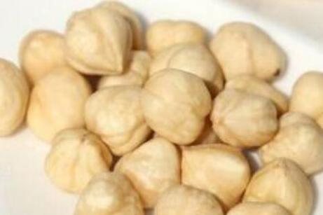 榛子怎么读，榛子的功效与作用及禁忌