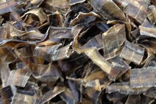 地龙蛋白的功效与作用，地龙蛋白的营养价值