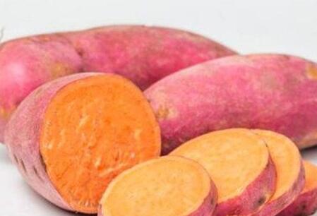 红薯可以天天吃吗，天天吃红薯会胖吗