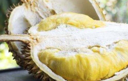 菠萝蜜是清火还是上火，吃菠萝蜜的禁忌