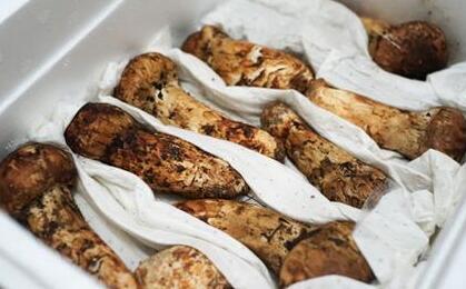 松茸怎么保存，松茸没洗直接冷冻了怎么办