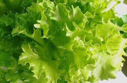 生菜怎么做好吃又简单，医生不吃生菜吗