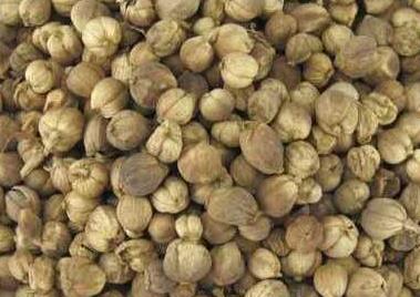 草豆蔻和白豆蔻的区别介绍