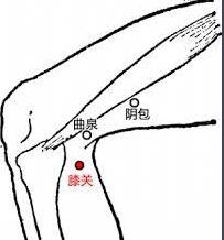 找膝关的简单方法，膝关的准确位置图和作用