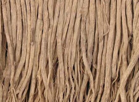 党参的副作用与禁忌，服用党参的禁忌