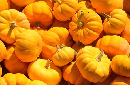 孕妇可以吃南瓜吗，孕妇吃南瓜对胎儿有影响吗