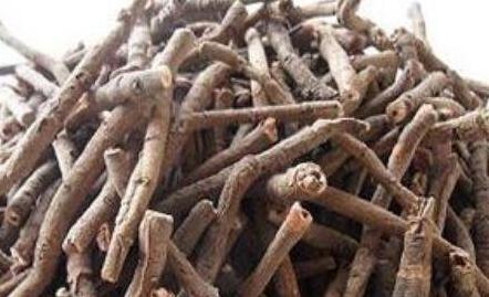 丹皮的功效与作用及禁忌