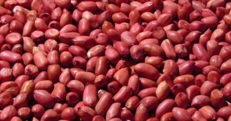 红皮花生的功效与作用及食用方法