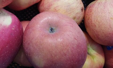 苹果皮的功效与作用及食用方法