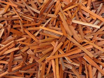 苏木的功效与作用，苏木的食用方法