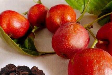 山楂的功效与作用及禁忌