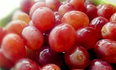 红提子的营养价值，红提子适合哪些人吃？