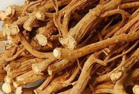 北柴胡的功效与作用，北柴胡别名是什么