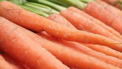 胡萝卜的功效与作用及禁忌
