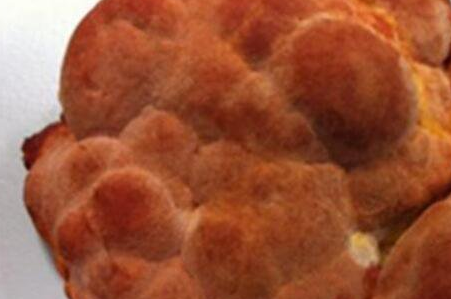 牛樟芝功效与作用及食用方法