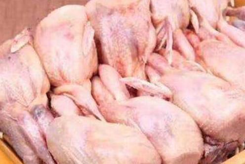 鹌鹑怎么读，鹌鹑的作用以及功能禁忌