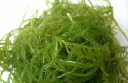 海藻油功效与作用，海藻油与鱼油的区别