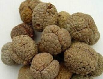 草豆蔻与肉豆蔻的区别图片介绍