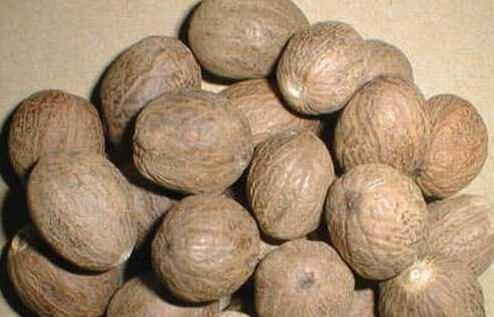 草豆蔻与肉豆蔻的区别图片介绍