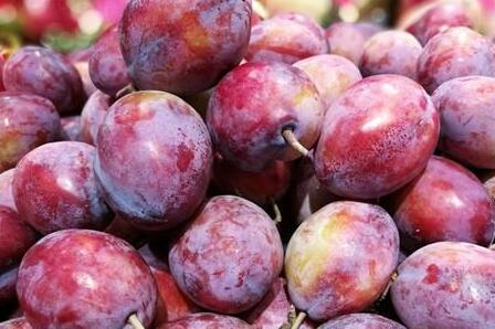 智利西梅的功效与作用，智利西梅图片