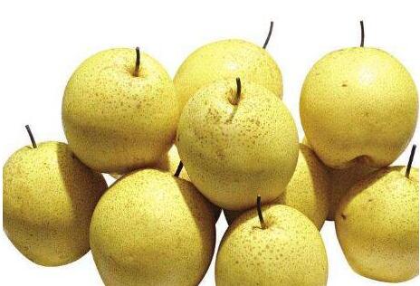 雪梨的功效与作用及营养价值