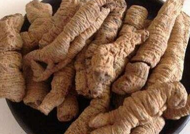 女人吃巴戟天的好处，用巴戟天泡水喝十天了