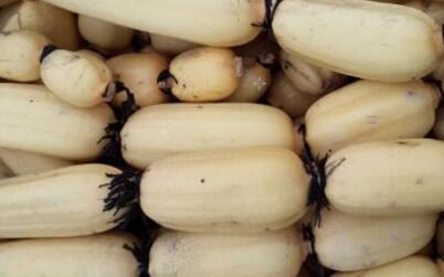 莲藕的功效与作用及禁忌