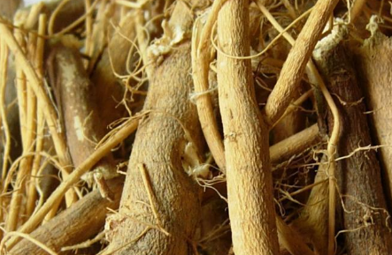 石参根煲汤加什么料，石参根和什么煲汤最佳