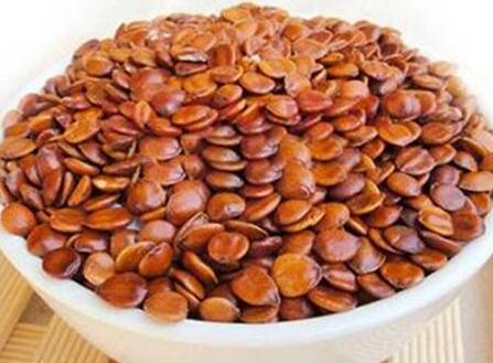 酸枣仁的副作用， 什么人不适合吃酸枣仁