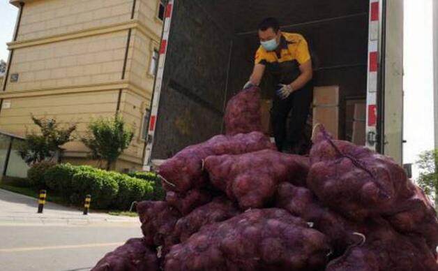 女孩网购1吨洋葱送前男友，洋葱还可以这样用！