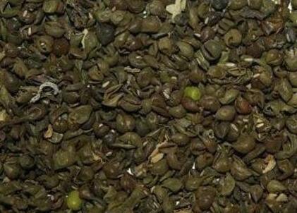 绿豆皮的功效与作用及禁忌