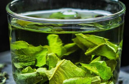 荷叶茶怎么喝才减肥，荷叶和什么搭配最减肥