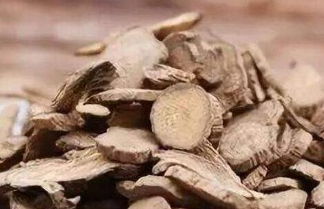 川牛膝的功效与作用及禁忌，川牛膝有什么药用价值