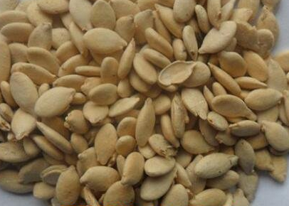 冬瓜子能吃吗，冬瓜子怎么吃