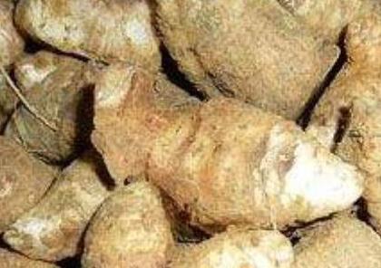 玄参与黄芪可以一起吃吗，黄芪和玄参一起的功效