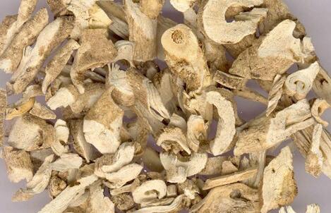 白鲜皮中药的功效与作用，白鲜皮中药的用量