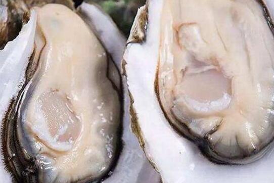 补精子一天吃几个生蚝，一次吃十个生蚝的危害
